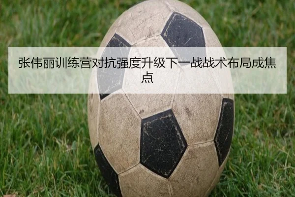 张伟丽训练营对抗强度升级下一战战术布局成焦点